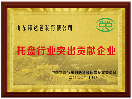 托盤行業(yè)突出貢獻(xiàn)獎(jiǎng)